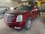 10 Cadillac Escalade Rh Right Passenger Roof Curtain Air Bag. Fixed Price $147.90.