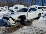 Passenger Air Bag Front Roof Fits 15-17 Challenger 2132741. Fixed Price $234.90.