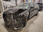 Used Left Curtain Air Bag Fits: 2020 Lincoln Nautilus Front Driver Roof Gra. Fixed Price $207.50.