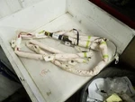 2012-2017 Dodge Caravan Rear Right Passenger Roof Curtain Air Bag. Fixed Price $125.00.