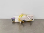 18 Toyota Tacoma Sr Front Seat Airbag Left Driver. Fixed Price $175.00.