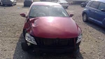 Used Right Curtain Air Bag Fits: 2015 Volkswagen Cc Front Passenger Roof. Fixed Price $194.30.