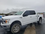 Used Right Curtain Air Bag Fits: 2019 Ford F150 Pickup Front Passenger Roof Crew. Fixed Price $166.00.