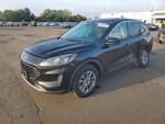 Passenger Right Air Bag Front Dash Fits 20-25 Escape 2059278. Fixed Price $175.66.