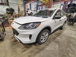 Used Right Instrument Panel Air Bag Fits: 2020 Ford Escape Front Passenger Dash. Fixed Price $182.50.