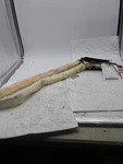 2008 Jeep Grand Cherokee Curtain Air Bag Right Blue 228745 170K Miles Oem. Fixed Price $184.99.
