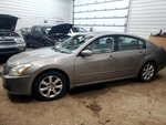 Passenger Right Air Bag Roof Fits 04-08 Maxima 1876365. Fixed Price $145.00.