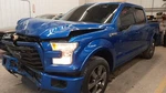 Roof Curtain Air Bag Ford F150 Pickup FL3B16042D95AU. Fixed Price $154.99.