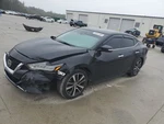Passenger Right Air Bag Roof Fits 21 Maxima 2369062. Fixed Price $365.00.