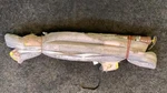 Volkswagen Cc Passenger Side Roof Curtain Airbag 3C8880742C B3709. Fixed Price $150.00.