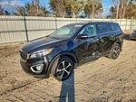 Used Right Curtain Air Bag Fits: 2017 Kia Sorento Passenger Roof Grade. Fixed Price $119.95.
