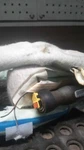 2013-2017 Dodge Durango Left Curtain Air Bag Black Oem 610557 168K Miles. Fixed Price $60.75.