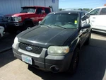 1 8TH Digit Driver Wheel Cylinder Vinyl Fits 05-06 Escape 3. Fixed Price $110.70.
