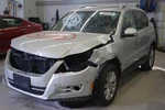 Roof Curtain For Tiguan Left. Fixed Price $114.99.