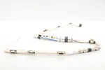 2020 - 2026 Chrysler Voyager Left Roof Curtain Oem 68224527AF. Fixed Price $189.52.